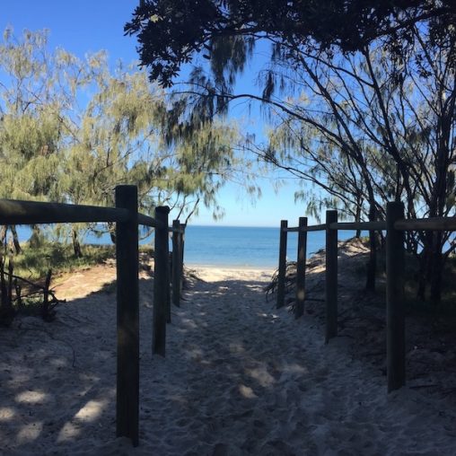 Red Beach Dog Beach Entry - Bribie Island Tours